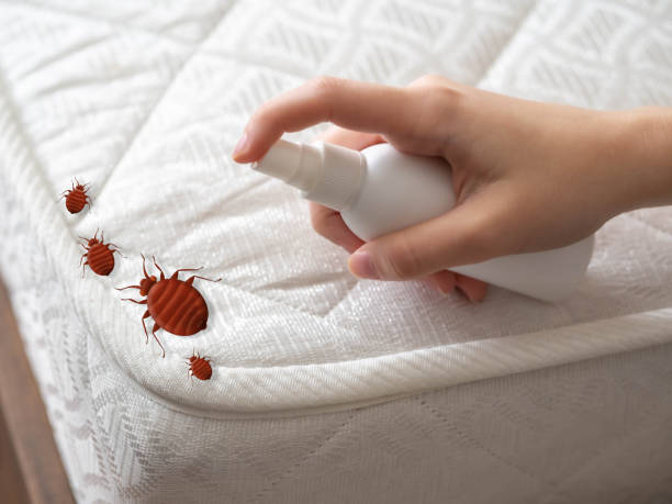 Best Commercial Pest Control Services  in Northridge, OH