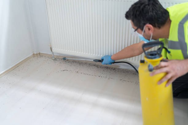 Best Rat Extermination Near Me  in Northridge, OH
